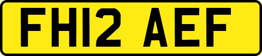 FH12AEF