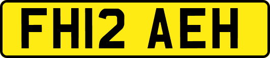 FH12AEH