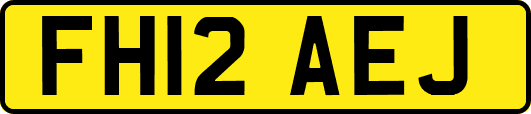 FH12AEJ