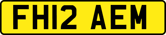 FH12AEM