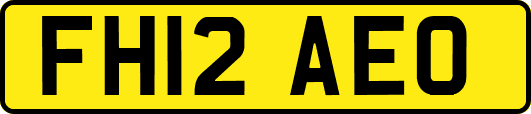 FH12AEO