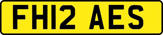 FH12AES