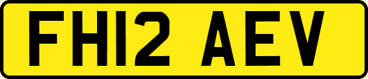 FH12AEV