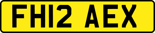 FH12AEX