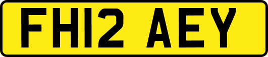 FH12AEY