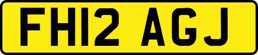 FH12AGJ