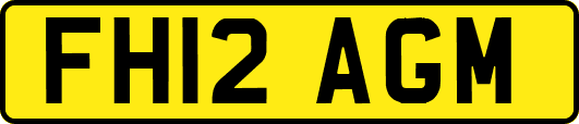 FH12AGM