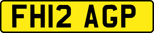 FH12AGP