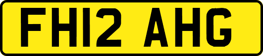 FH12AHG