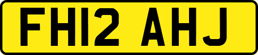 FH12AHJ