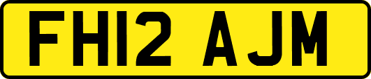 FH12AJM