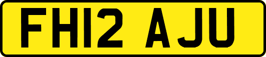 FH12AJU