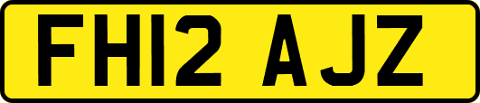 FH12AJZ