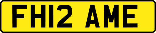 FH12AME