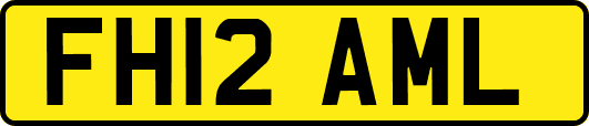 FH12AML