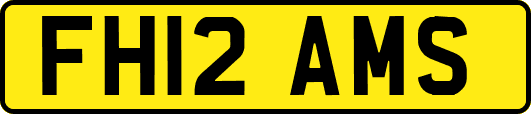 FH12AMS
