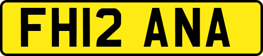 FH12ANA