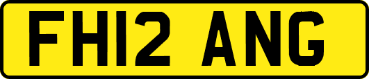 FH12ANG