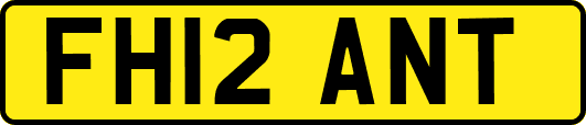 FH12ANT