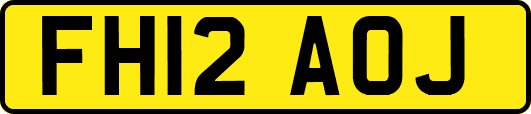 FH12AOJ