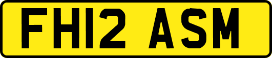 FH12ASM
