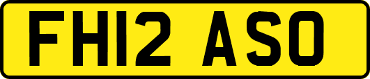 FH12ASO