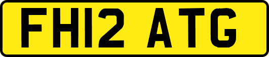 FH12ATG