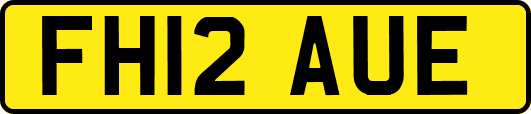 FH12AUE