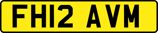 FH12AVM