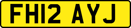 FH12AYJ