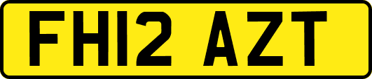 FH12AZT