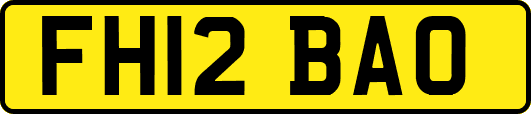 FH12BAO