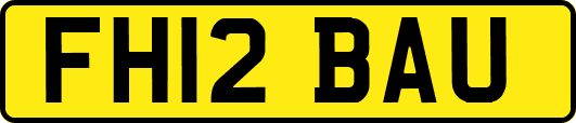 FH12BAU