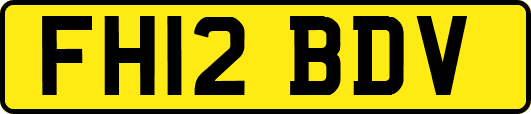 FH12BDV