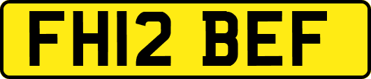 FH12BEF