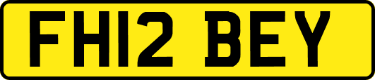 FH12BEY
