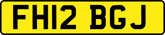 FH12BGJ