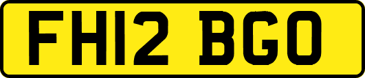 FH12BGO