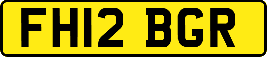 FH12BGR