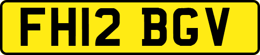 FH12BGV