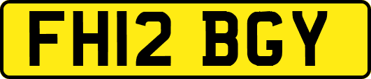 FH12BGY