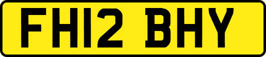 FH12BHY