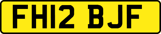 FH12BJF