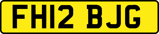 FH12BJG