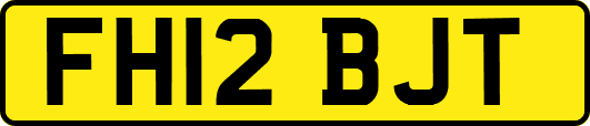 FH12BJT