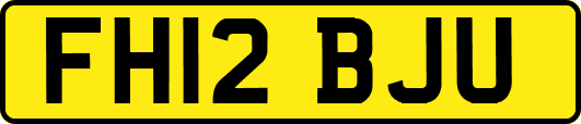 FH12BJU