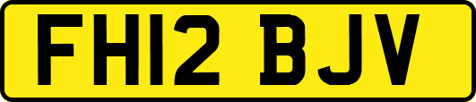 FH12BJV