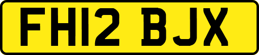 FH12BJX
