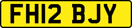 FH12BJY
