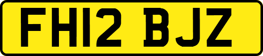 FH12BJZ